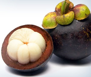 Raw Opened Garcinia Fruit